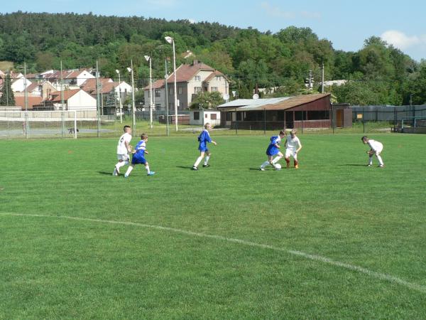 P1120346.JPG - 