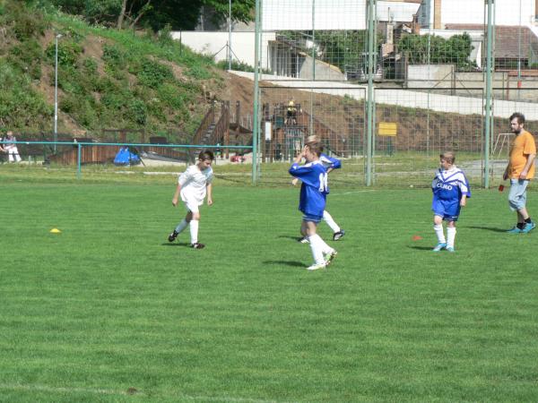 P1120347.JPG - 