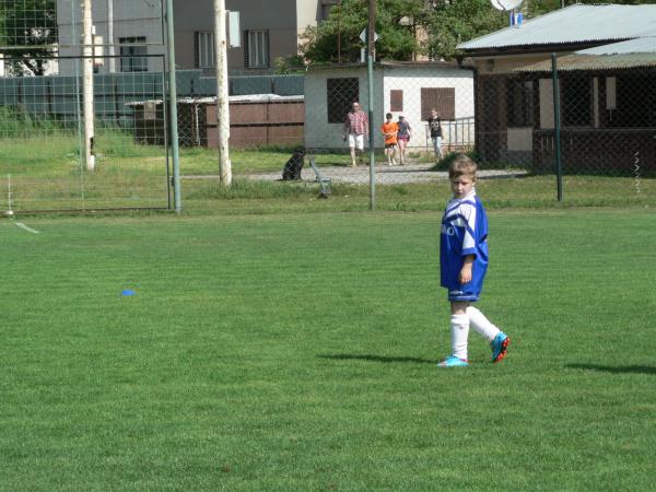 P1120348.JPG - 