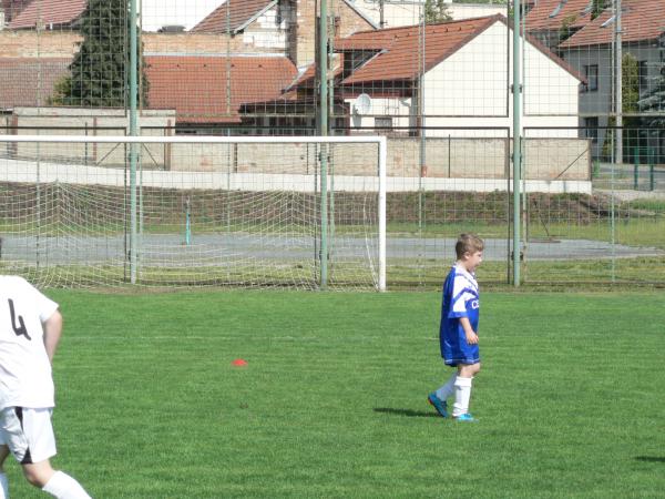P1120354.JPG - 