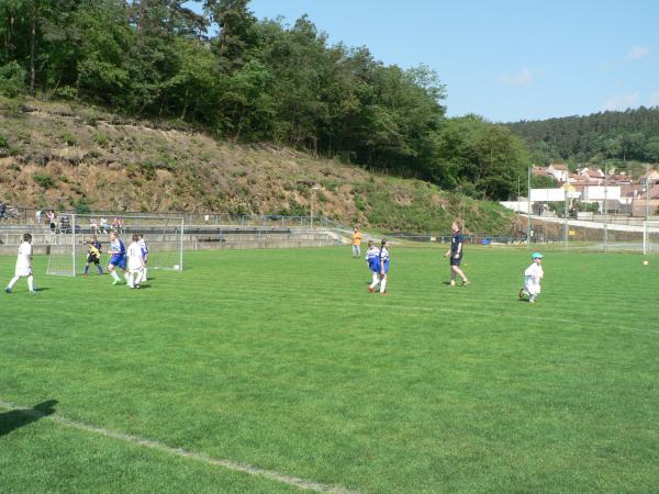 P1120367.JPG - 