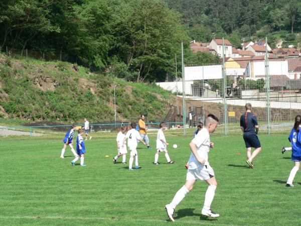 P1120370.JPG - 