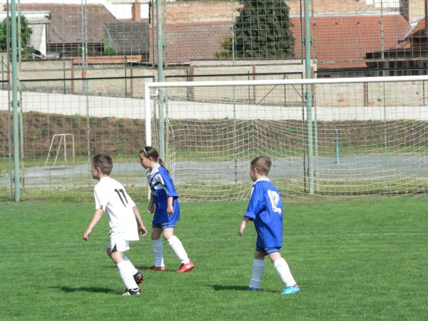 P1120371.JPG - 