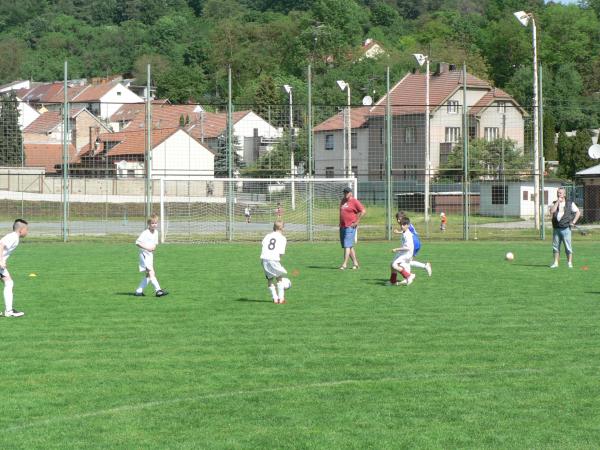 P1120384.JPG - 