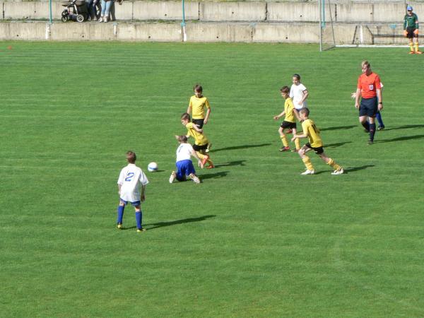 P1120455.JPG - 