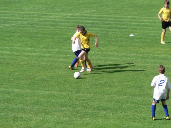 P1120462.JPG - 