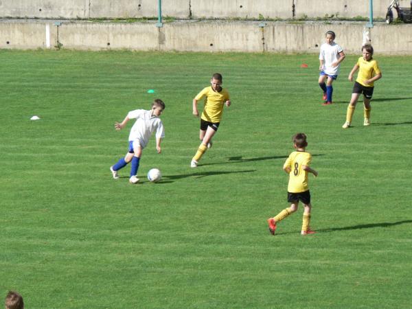 P1120463.JPG - 