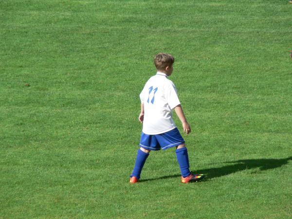 P1120494.JPG - 
