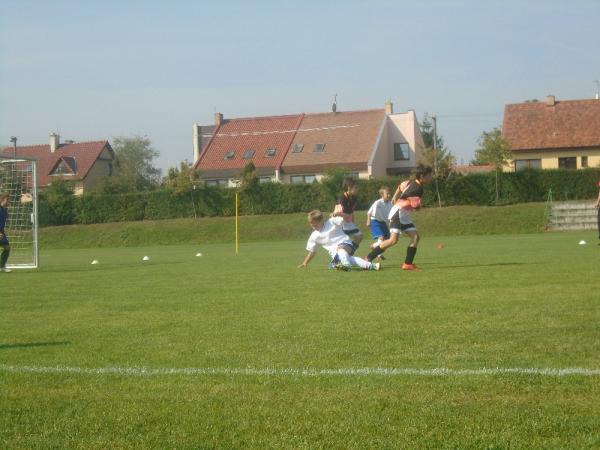 DSC01578.JPG - 