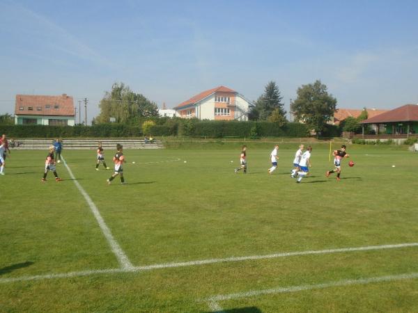 DSC01581.JPG - 