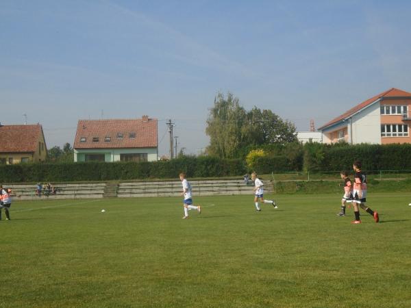 DSC01586.JPG - 