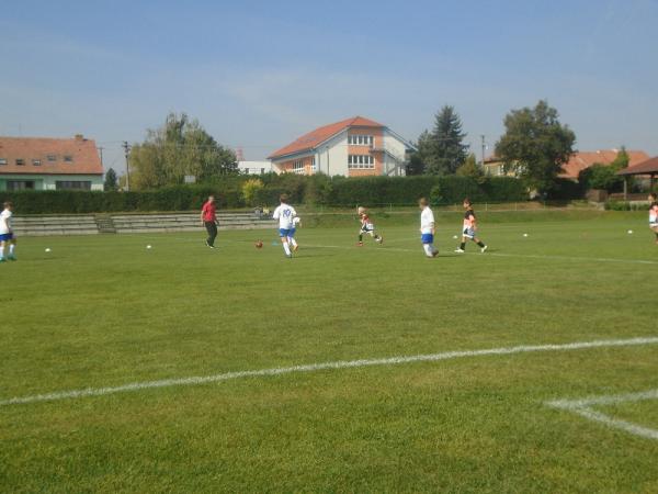 DSC01621.JPG - 