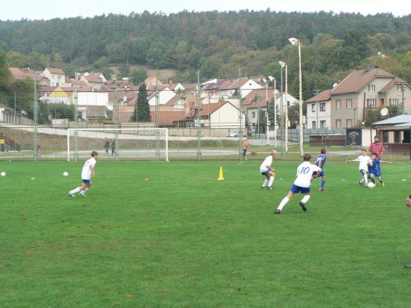 P1120710.JPG - 