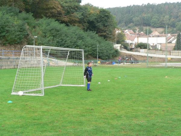 P1120730.JPG - 