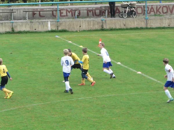 P1120888.JPG - 