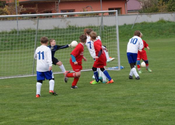 DSC06415.JPG - 