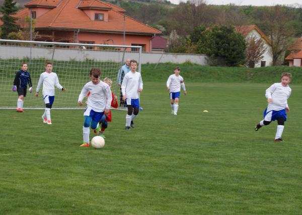 DSC06454.JPG - 