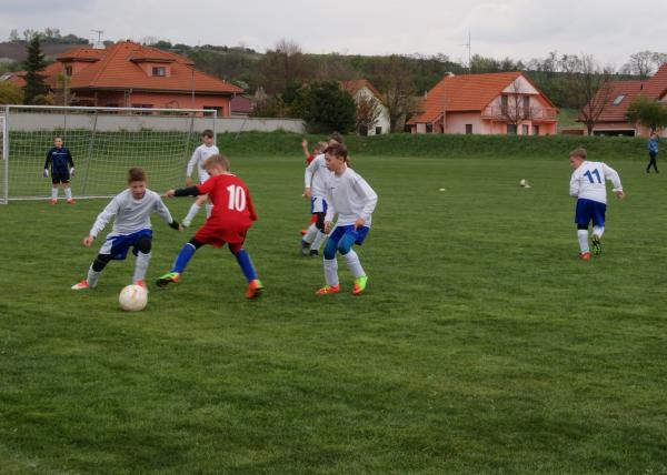 DSC06475.JPG - 