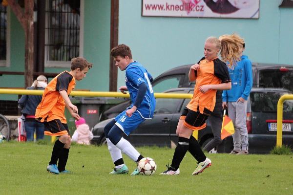 IMG_1211.jpg - 