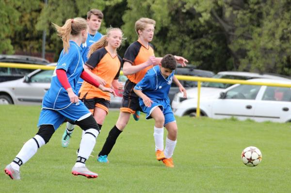 IMG_1265.jpg - 