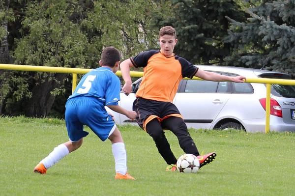 IMG_1290.jpg - 