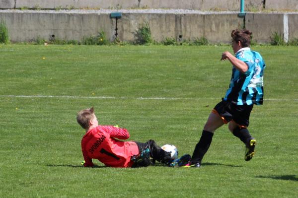 IMG_1584.jpg - 