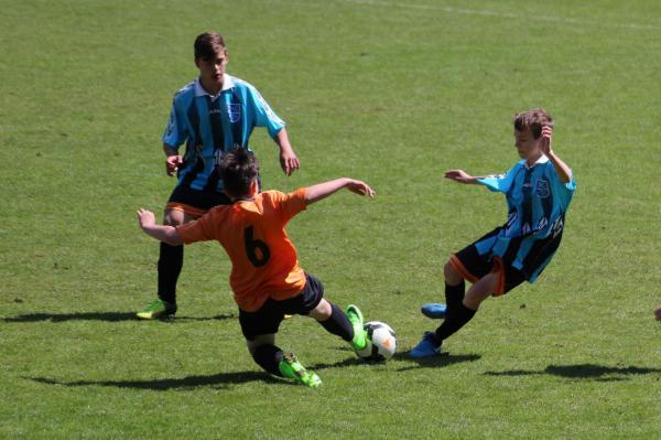 IMG_1588.jpg - 