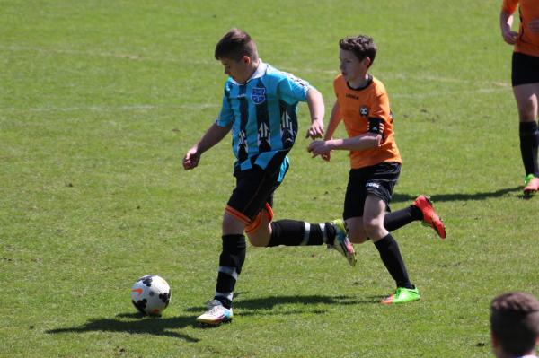 IMG_1592.jpg - 