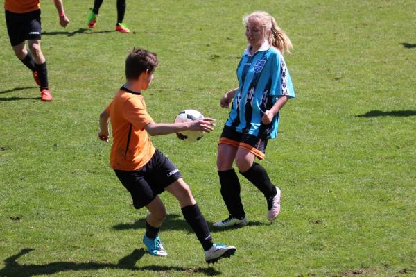 IMG_1595.jpg - 