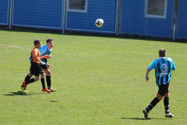 IMG_1610.jpg - 