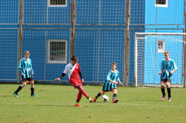 IMG_1646.jpg - 